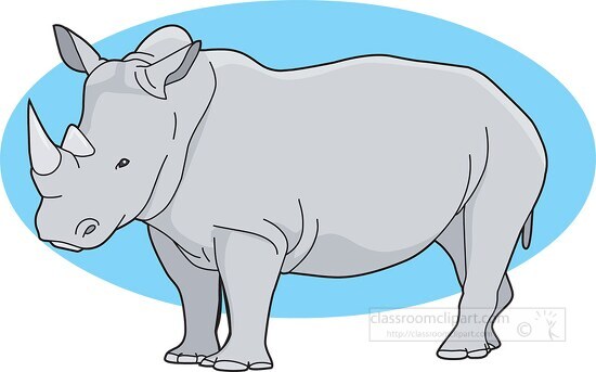 white african rhinoceros standing clipart