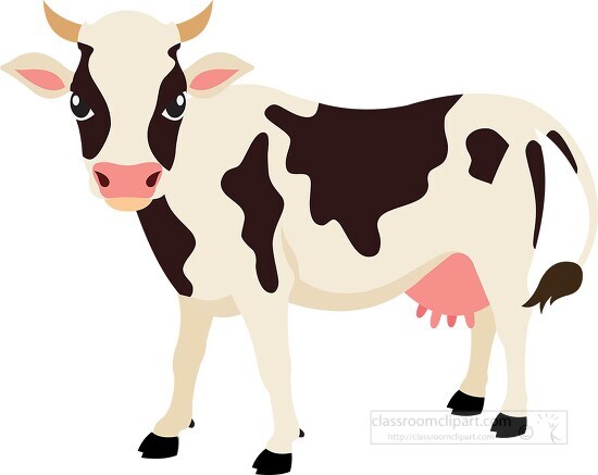 white black spotted diary cow on white background clipart