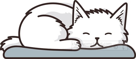 white cat sleeping on a pillow