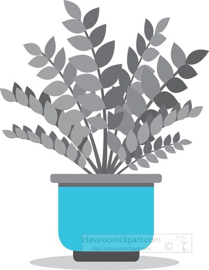 zz zanzibar gem house plant gray blue color clip art