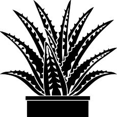 aloe vera plant silhouette