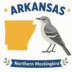 arkansas northern mockingbird state bird with map