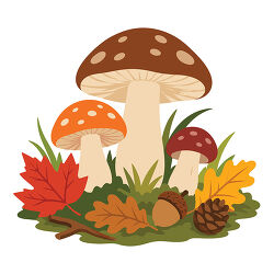 Autumn Mushrooms With Acorn Pinecone and Leaves