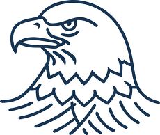 Bald Eagle Icon