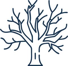 bare tree solid line icon