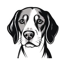 Beagle Dog Face Illustration With Black Outline