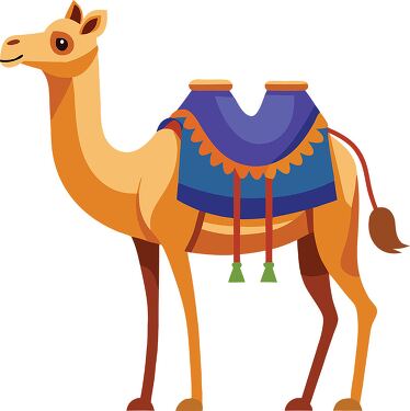 Beautifully Designed One Hump Camel for Desert Travel