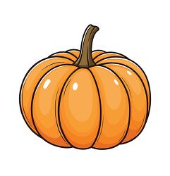 big orange pumpkin with stem for autumn harvest