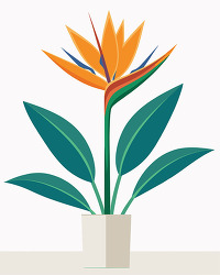 bird of paradise plant in pot illustration