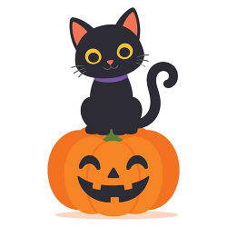 Black Cat On Jack O Lantern Pumpkin