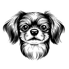 Black Outline Chihuahua Dog Face Illustration