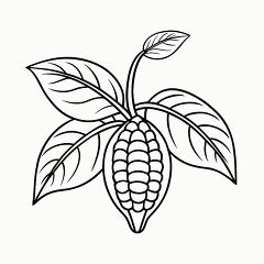 Black Outline of a Cocoa Plant for Printable Activity