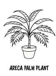 Black Outline Printable with text Areca Palm Plant