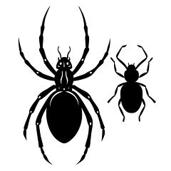 Black Widow Spider Silhouette With Beetle Illustration