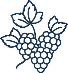 blackberry plant solid line icon