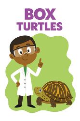 Box Turtles Cartoon Scientist Educational Illustration