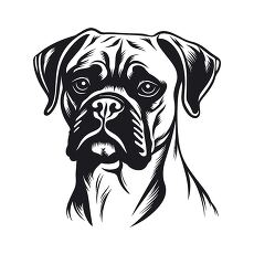 Boxer Dog Face Illustration in Black Outline Style