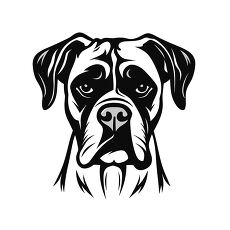 Boxer Dog Face Illustration With Black Outline Details