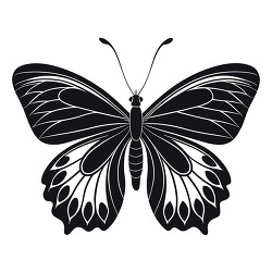 Butterfly Black White Silhouette Wings Nature Illustration Desig