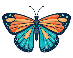 Butterfly Blue Orange Wings Detailed Nature Illustration Design