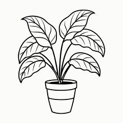 Calathea Plant Black Outline Design for Printing