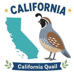 california quail state bird with map