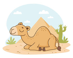 Camel resting near pyramid