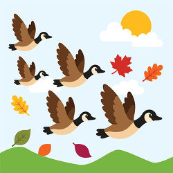 Canada Geese Flying With Fall Leaves