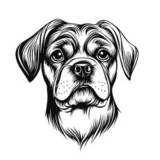 Cane Corso Dog Portrait Showcasing Expressive Features