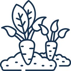 carrot plant solid line icon