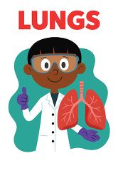 Cartoon Scientist Holding Human Lungs Illustration