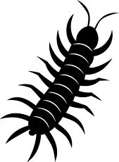 centipede silhouette