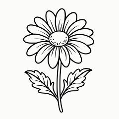 Chamomile Plant Black Outline for Coloring and Printing