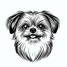 Charming Pomeranian Dog Face With Detailed Fur Texture