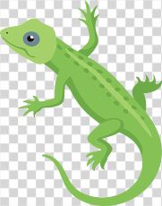 Colorful Green Lizard Design Suitable for Kids