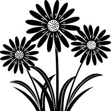 daisy flower silhouette