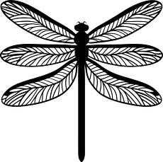 dragonfly on a leaf silhouette