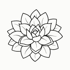 Echeveria Succulent Black Outline Drawing for Coloring