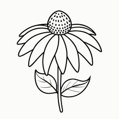 Echinacea Black Outline Printable for Coloring Enjoyment