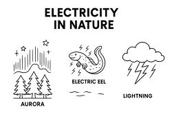 electricity in nature aurora electric eel lightning coloring