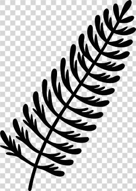 Elegant Fern Leaf Design in Black and White Simplicity