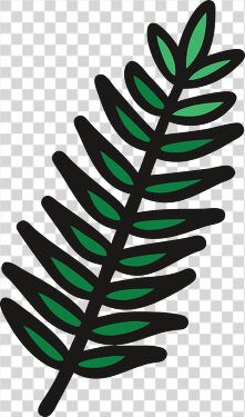 Elegant Green Fern Leaf Design With Bold Outlines