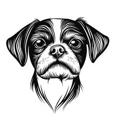 Expressive Boston Terrier Dog Illustration