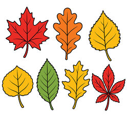 Fall Leaves Set With Maple Oak And Birch Leaves
