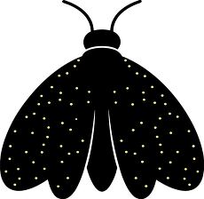 firefly silhouette