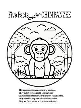 Five Facts About the Chimpanzee Coloring  Printable