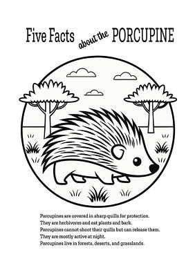 Five Facts About the Porcupine Printable