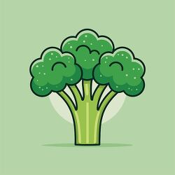 Fresh broccoli vegetable illustration