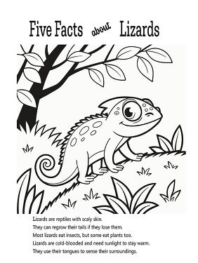 Fun Facts About Lizards Coloring Printable for Kids