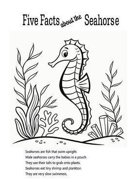 Fun Facts About Seahorse Coloring Printable Activity